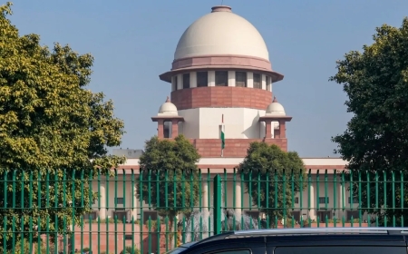 सुप्रीम कोर्ट ने डॉग लवर्स की याचिका की खारिज, सार्वजनिक जगहों से हटाए जाएंगे आवारा कुत्ते
