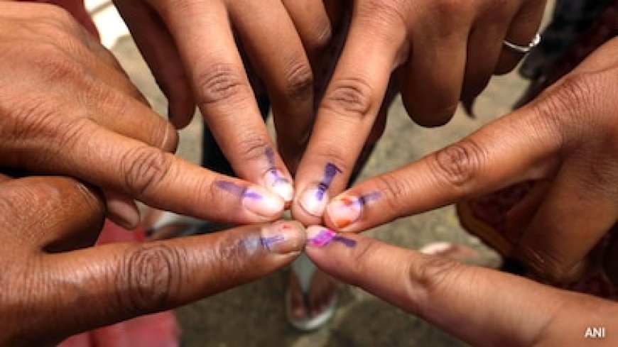 फ्लाइट पकड़ने से पहले उंगली की स्याही ने फंसाया! तमिलनाडु में विदेशियों की वोटिंग पर EC ने शुरू की बड़ी जांच