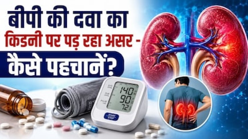 BP कंट्रोल करने वाली दवा कहीं चुपचाप किडनी को तो नहीं पहुंचा रही नुकसान? इन संकेतों से पहचानें