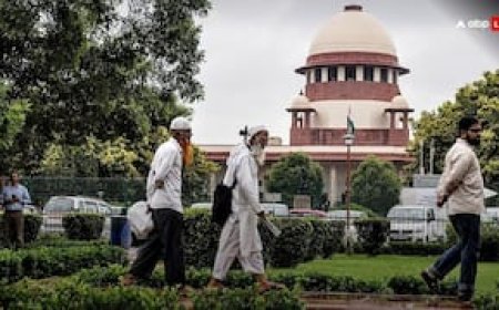 सीनियर वकीलों को दलीलें रखने की अनुमति नहीं, सिर्फ यंग लॉयर...', सुप्रीम कोर्ट ने क्यों दिया ऐसा आदेश?