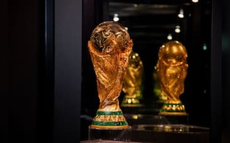 FIFA को भारत में मिला ब्रॉडकास्टर, फैंस इस चैनल पर देख पाएंगे वर्ल्ड कप मैच का लाइव टेलिकास्ट