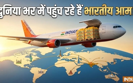 एयर इंडिया के जहाजों से हो रही आमों की सप्लाई, लंदन से न्यूयॉर्क तक भारतीय आम की धूम