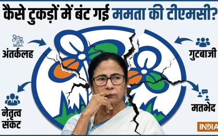 कैसे टुकड़ों में बंट गई 28 साल पुरानी ममता की TMC? आखिर कहां चूक गईं दीदी
