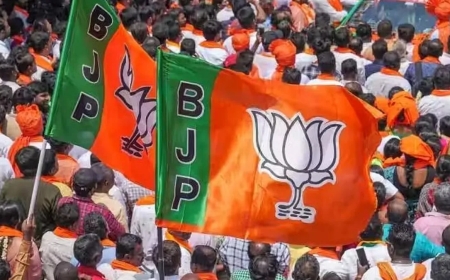 मध्य प्रदेश में भाजपा ने तीनों राज्यसभा सीट जीती, यहां देखें जीते हुए उम्मीदवारों की लिस्ट