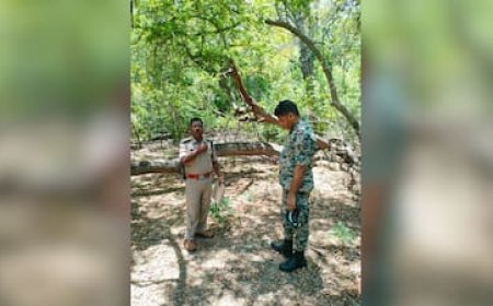 BSF अकादमी परिसर में चंदन चोरी, ग्वालियर पुलिस ने दर्ज किया मामला