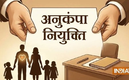 मध्य प्रदेश में बदलने वाले हैं अनुकंपा नियुक्ति के नियम, सरकार ला रही नए कानून, परिवार छोड़ने पर जा सकती है नौकरी