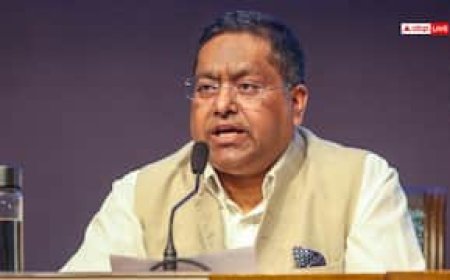 पासपोर्ट ट्रैवल का एक सबूत है न कि नागरिकता का आधार, MEA ने बताया कितने देशों में वीजा फ्री एंट्री