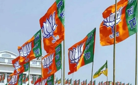 यूपी बीजेपी संगठन की लिस्ट जारी, 19 उपाध्यक्ष, 8 महामंत्री बनाए गए, पूजा पाल और राजनाथ सिंह के बेटे को मिली बड़ी जिम्मेदारी