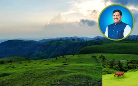 मध्य भारत में है अंग्रेजों के जमाने का इकलौता कॉफी बागान; क्यों खास है कुकरू, CM मोहन के दौरे से जगी उम्मीद