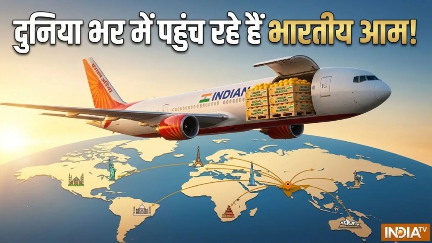 एयर इंडिया के जहाजों से हो रही आमों की सप्लाई, लंदन से न्यूयॉर्क तक भारतीय आम की धूम