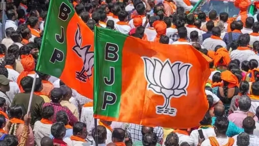मध्य प्रदेश में भाजपा ने तीनों राज्यसभा सीट जीती, यहां देखें जीते हुए उम्मीदवारों की लिस्ट