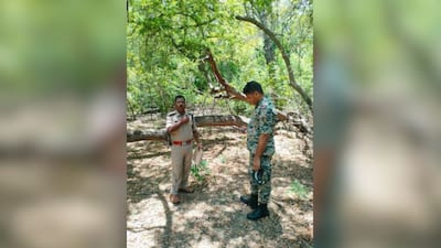 BSF अकादमी परिसर में चंदन चोरी, ग्वालियर पुलिस ने दर्ज किया मामला