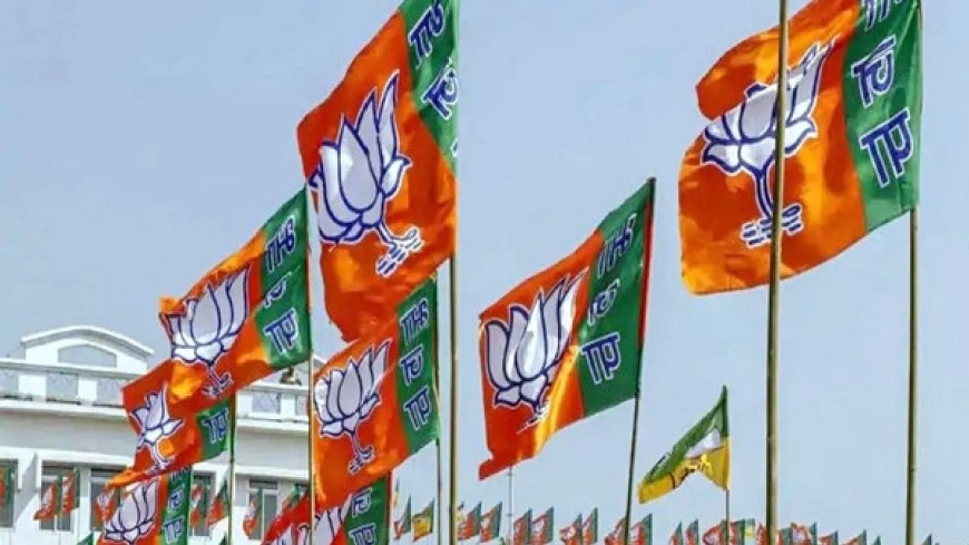 यूपी बीजेपी संगठन की लिस्ट जारी, 19 उपाध्यक्ष, 8 महामंत्री बनाए गए, पूजा पाल और राजनाथ सिंह के बेटे को मिली बड़ी जिम्मेदारी