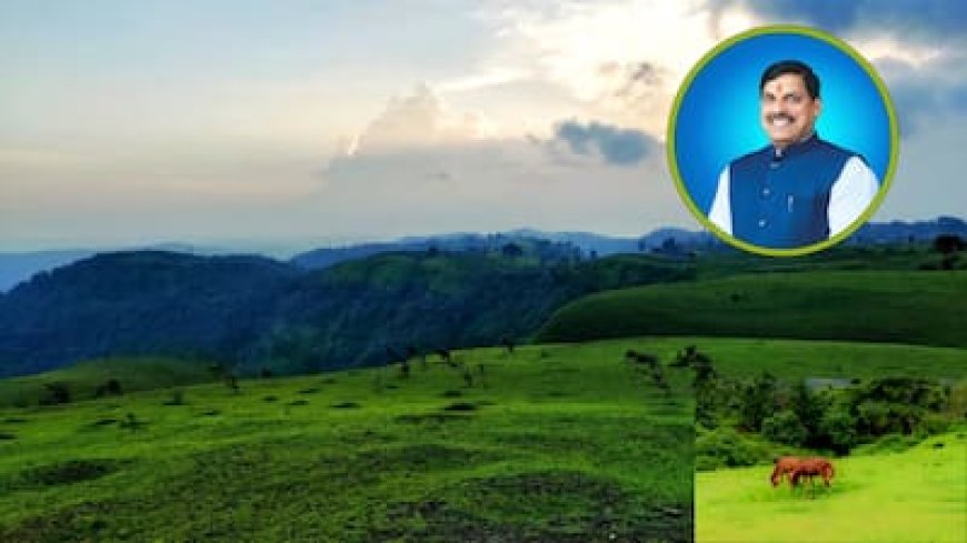 मध्य भारत में है अंग्रेजों के जमाने का इकलौता कॉफी बागान; क्यों खास है कुकरू, CM मोहन के दौरे से जगी उम्मीद