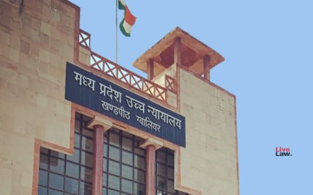 GST अधिकारी को बदनाम करने और ₹1 करोड़ की उगाही के आरोप में पत्रकार बताने वाले व्यक्ति को अग्रिम जमानत से इनकार