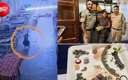 अस्पताल से 4 लाख के गहने लेकर 'फरार' हुआ कुत्ता! पुलिस तलाशती रही चोर, CCTV से खुला राज