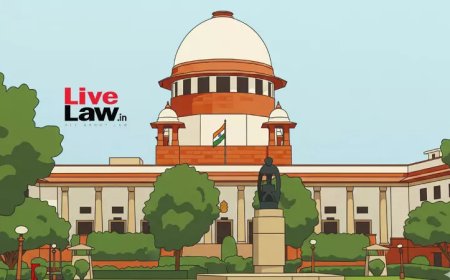 तलाक के समझौते में छोड़े गए पैसों के दावे को DV Act की कार्यवाही में दोबारा नहीं उठाया जा सकता: सुप्रीम कोर्ट