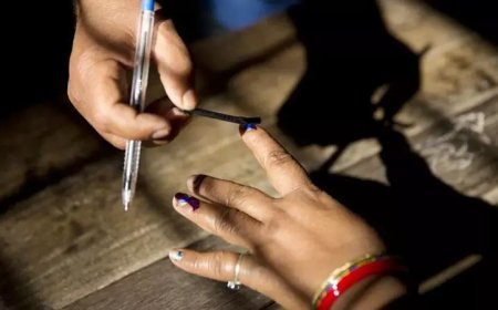 नगर निकाय चुनाव आरक्षण पर याचिका खारिज, राजस्थान हाईकोर्ट ने माना अनुच्छेद 243-Z का प्रतिबंध