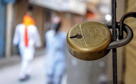 भोपाल में रहवासी इलाकों में चल रहे कमर्शियल अड्डों पर बड़ी कार्रवाई, नगर निगम ने शुरू की सीलिंग, कई संस्थान बंद
