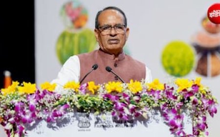 खरीफ के बाद रबी पर अल-नीनो का अटैक! शिवराज ने दिया 'जल बजट' का फॉर्मूला; सूखे इलाकों में जाएगी केंद्र की टीम
