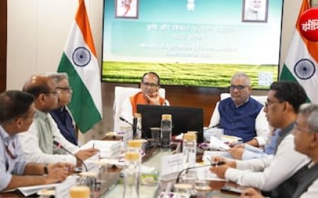UP-हरियाणा में घटी पराली जलाने की घटनाएं, MP-राजस्थान ने बढ़ाई टेंशन; शिवराज बोले- अब समय बहुत कम