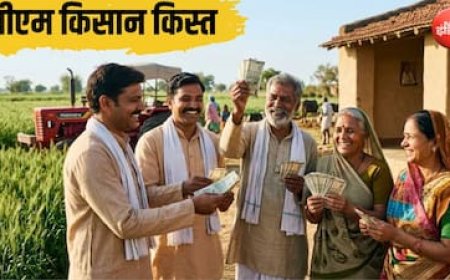 PM किसान की 24वीं किस्त: देश में 9.30 करोड़ किसानों को मिलेंगे 2-2 हजार रुपये, जानें दिवाली के पहले कब आ सकते हैं पैसे